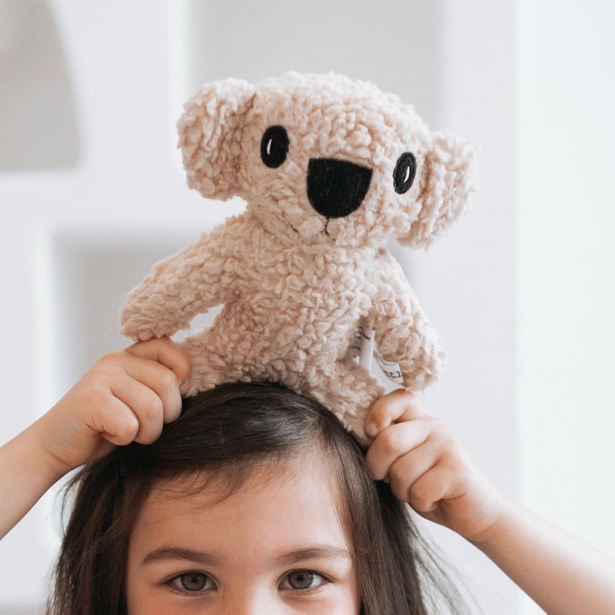 and the little dog laughed - Morgan Koala - Image 2