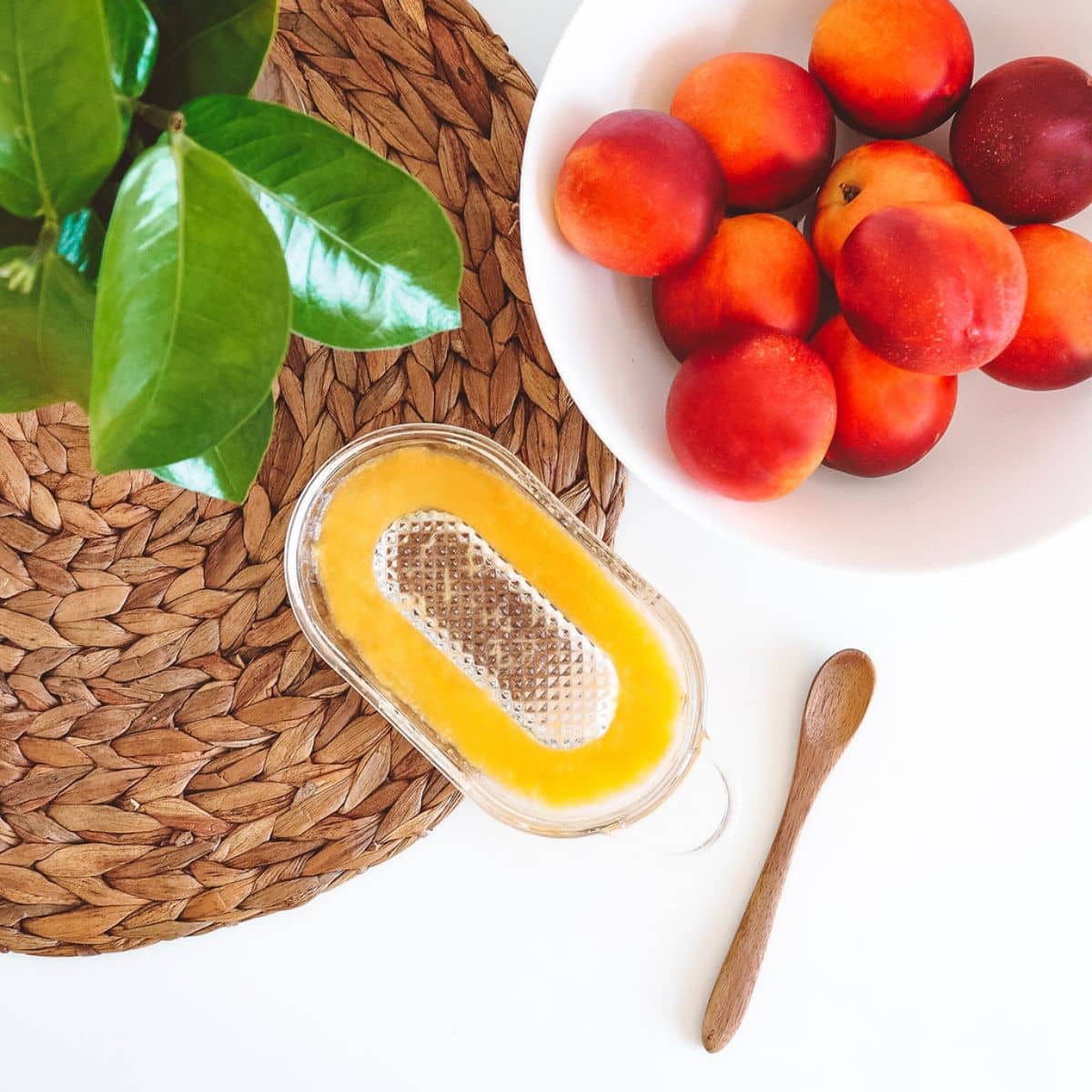 Baby Moat Baby Fruit Purée Glass Grater - Image 23