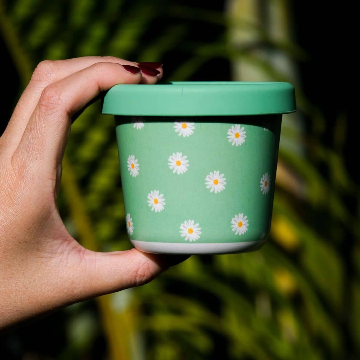 BBcino Reusable Snack Pot - 220ml Bamboo - Daisy, BB - Image 3