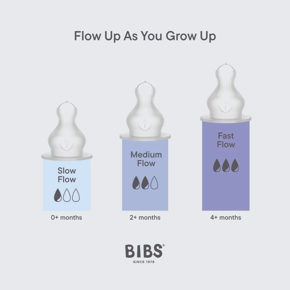 BIBS Bottle Silicone Teats - Image 3