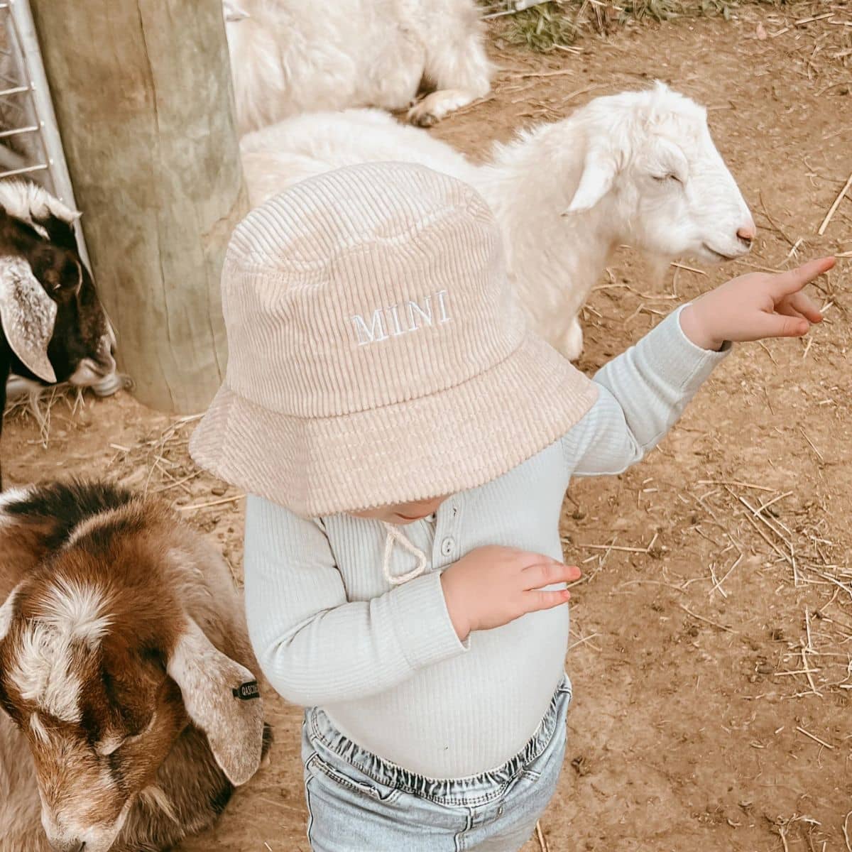 Blossom & Pear Corduroy Bucket Hat - Mini - Baby Size - Image 3