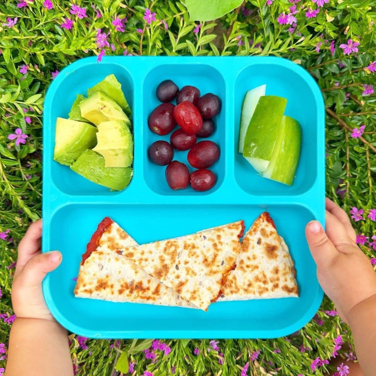 Bobo & Boo Plant-Based Bento Plate - Image 2