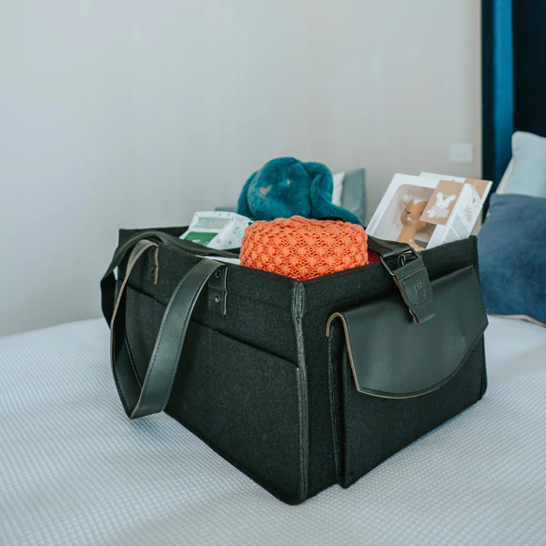 Bunnie Caddie Deluxe Nappy Organiser - Black - Image 2