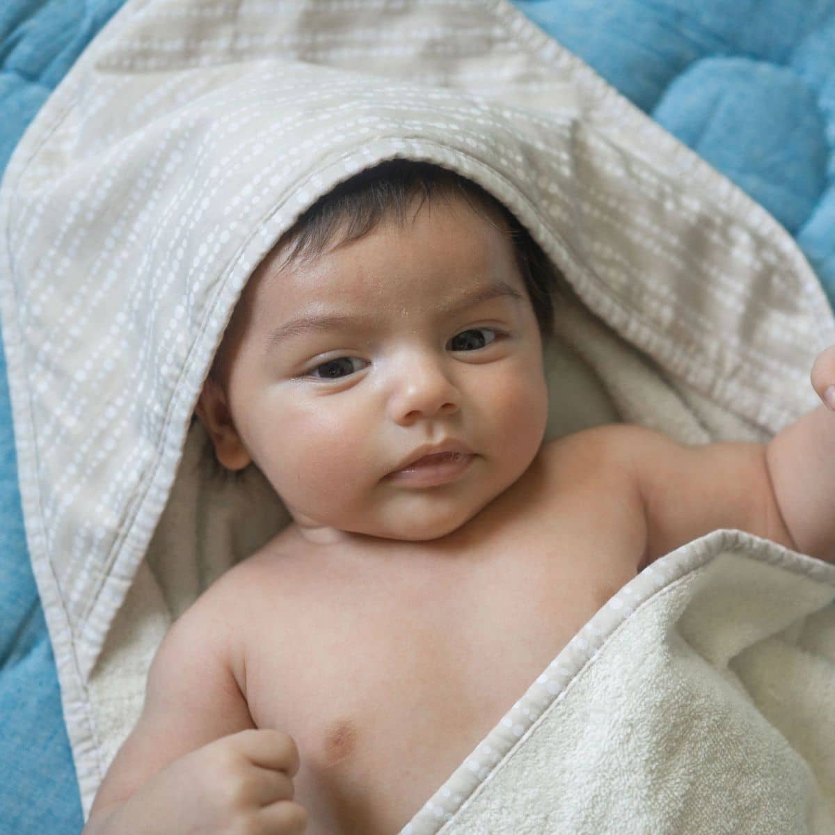 Crane Baby Hooded Towel - Cove Dot - Image 2