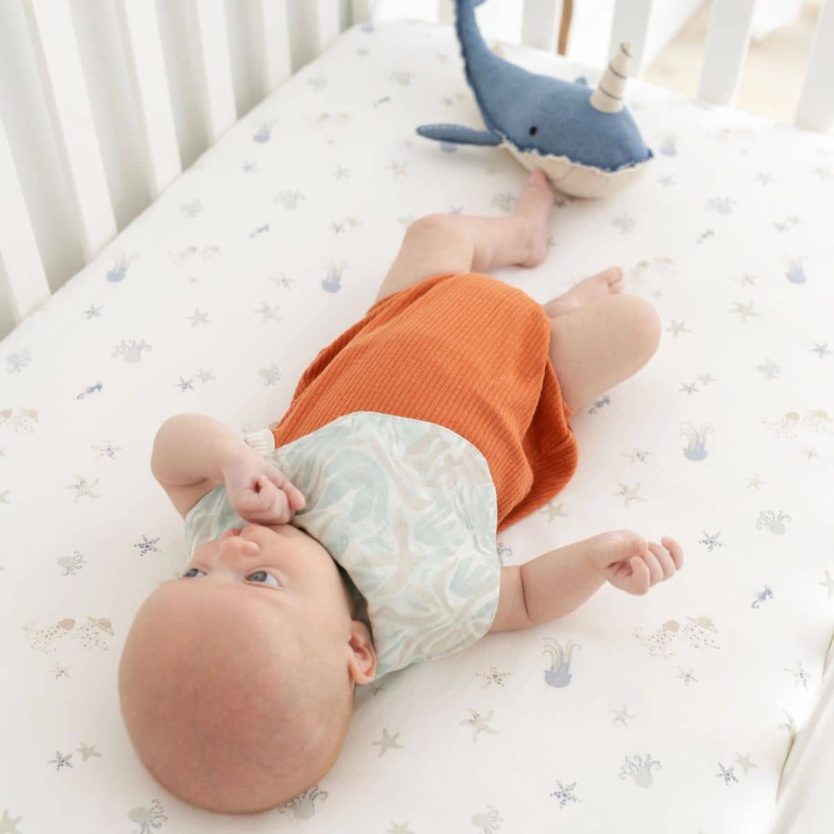 Crane Baby Muslin Bib Set - Cove Beach Life - Image 4