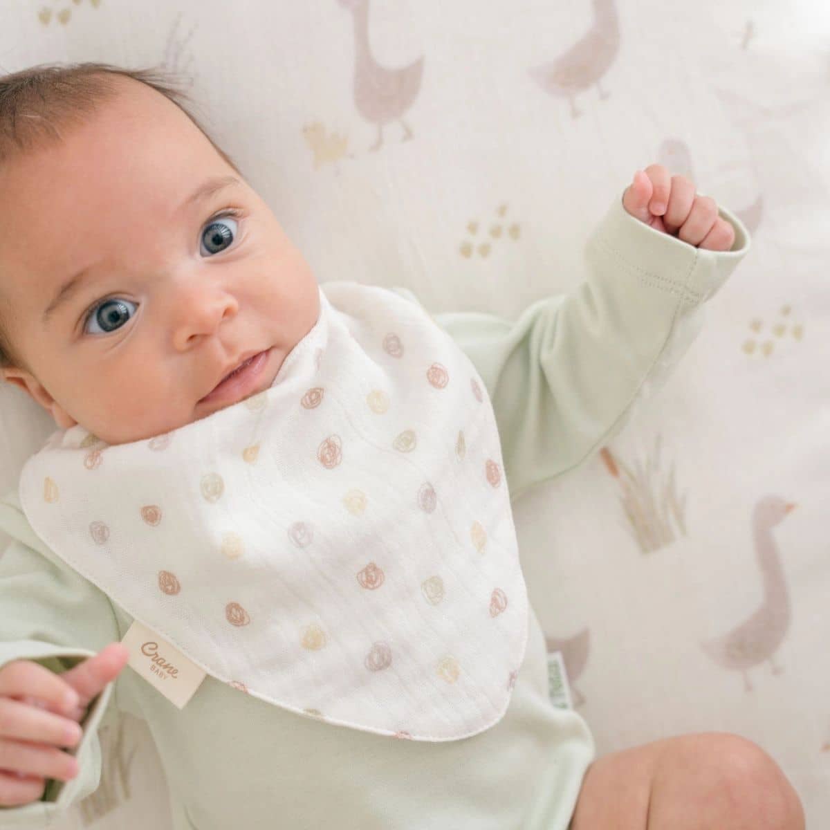 Crane Baby Muslin Bib Set - Charlie Farmhouse Goose - Image 2