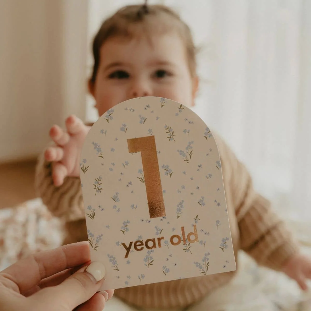 Fox & Fallow Baby Milestone Cards - Broderie - Image 11