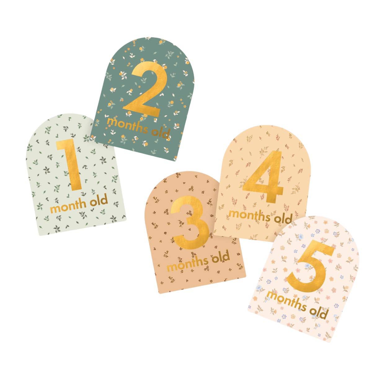 Fox & Fallow Baby Milestone Cards - Broderie - Image 12