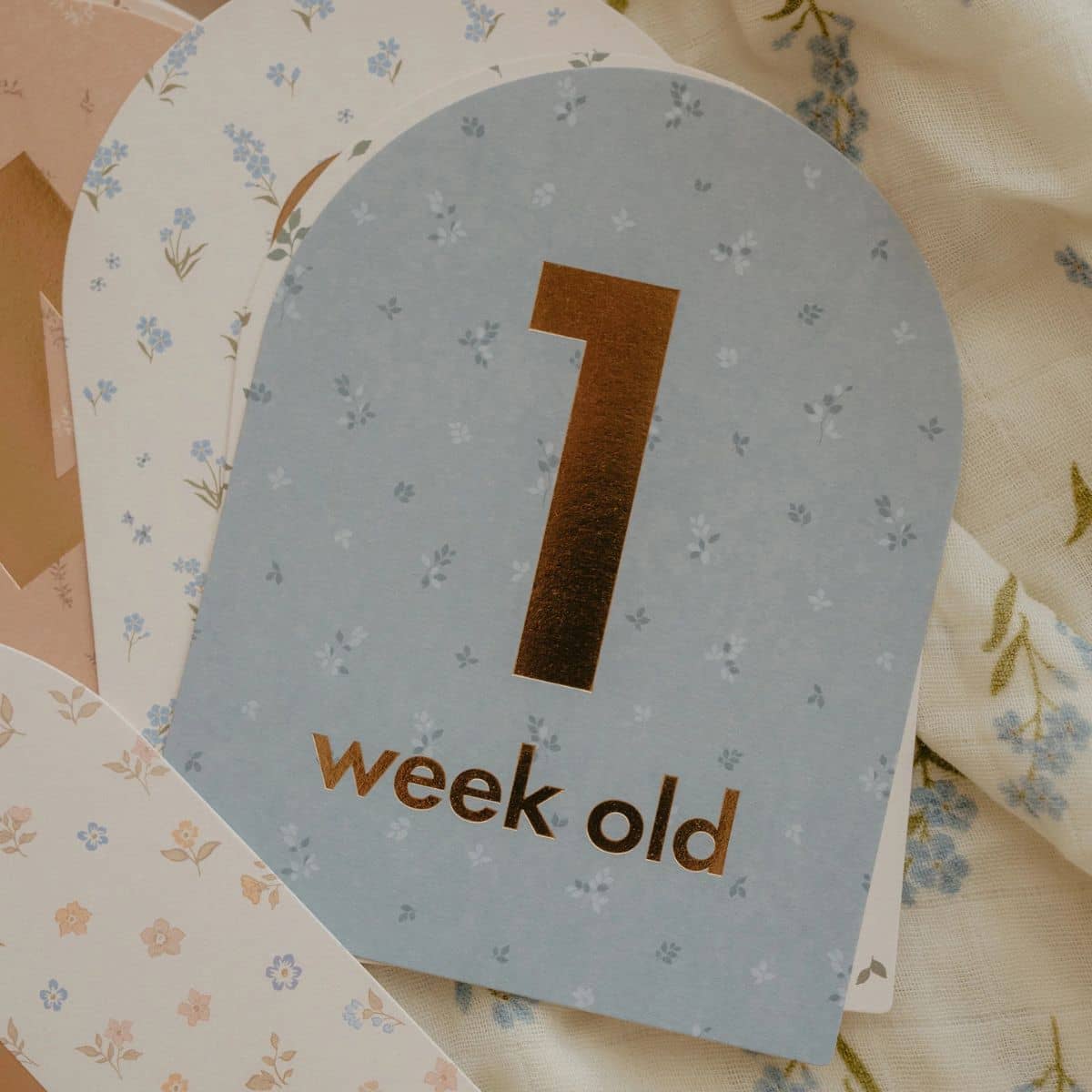 Fox & Fallow Baby Milestone Cards - Broderie - Image 14