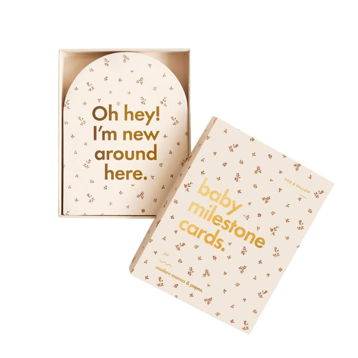 Fox & Fallow Baby Milestone Cards - Broderie - Image 3