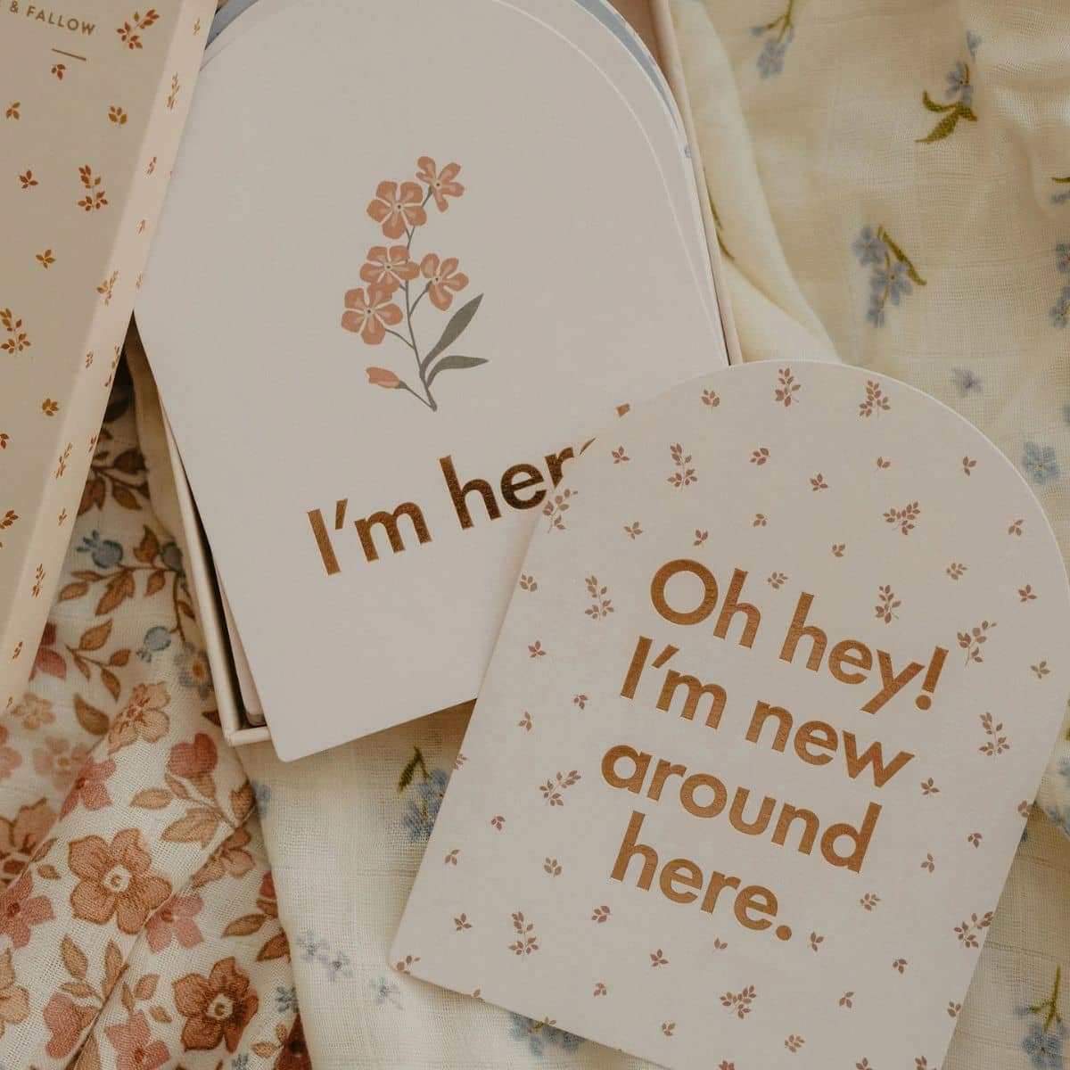 Fox & Fallow Baby Milestone Cards - Broderie - Image 4