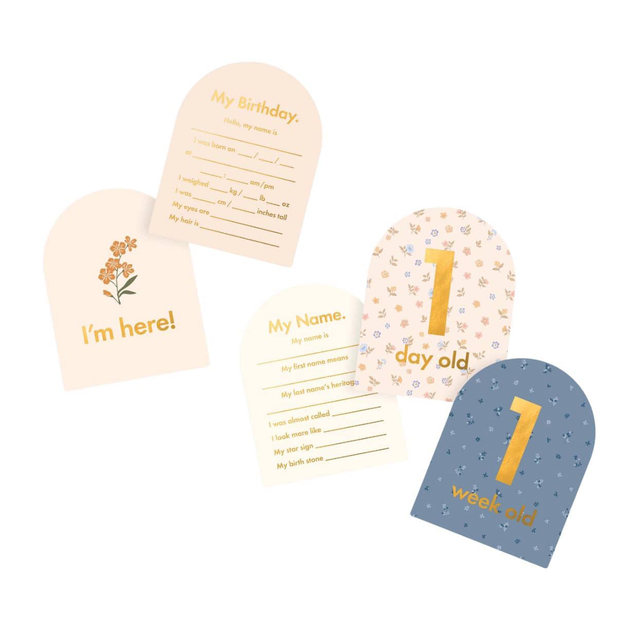 Fox & Fallow Baby Milestone Cards - Broderie - Image 6
