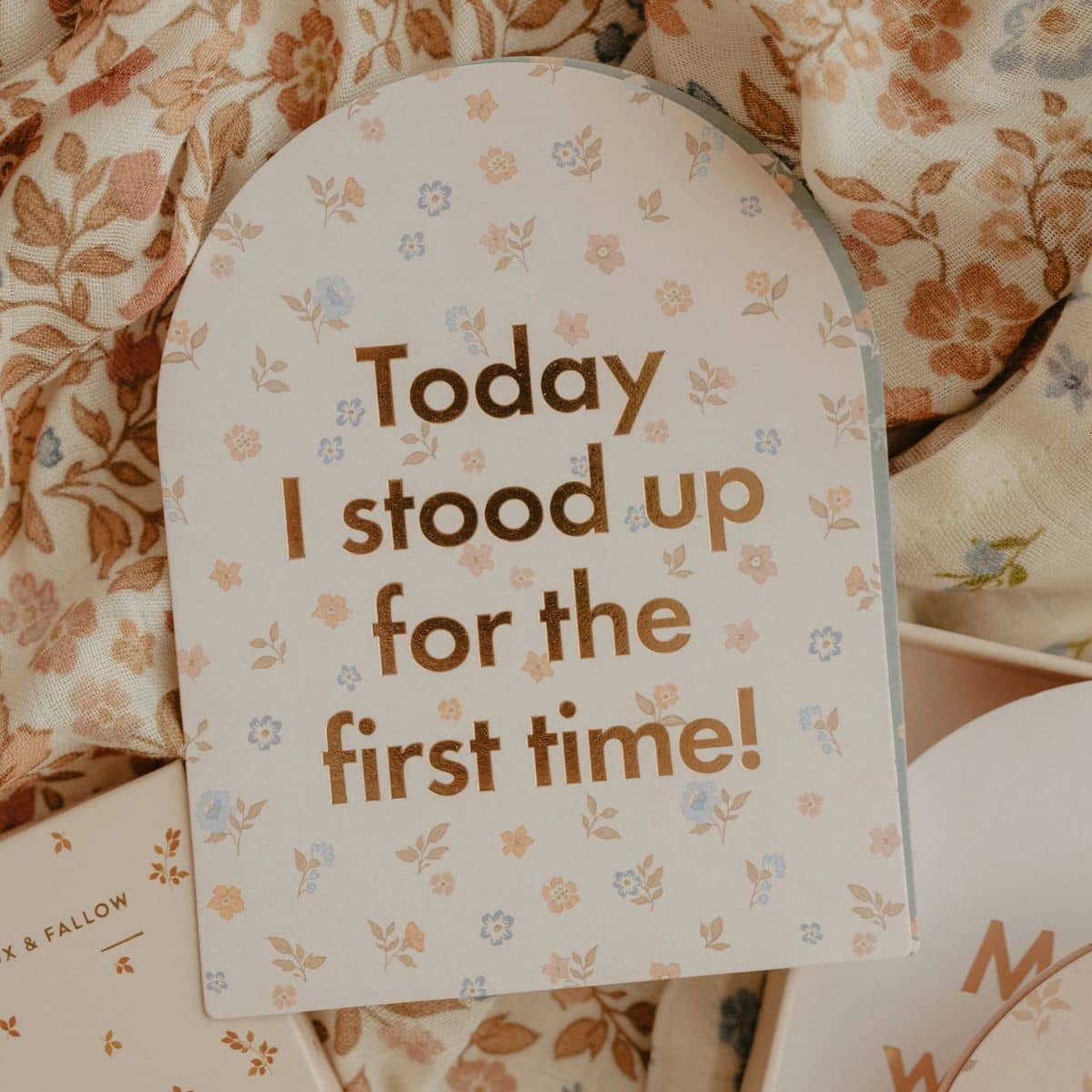 Fox & Fallow Baby Milestone Cards - Broderie - Image 7