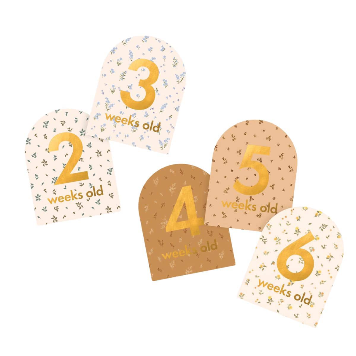 Fox & Fallow Baby Milestone Cards - Broderie - Image 9