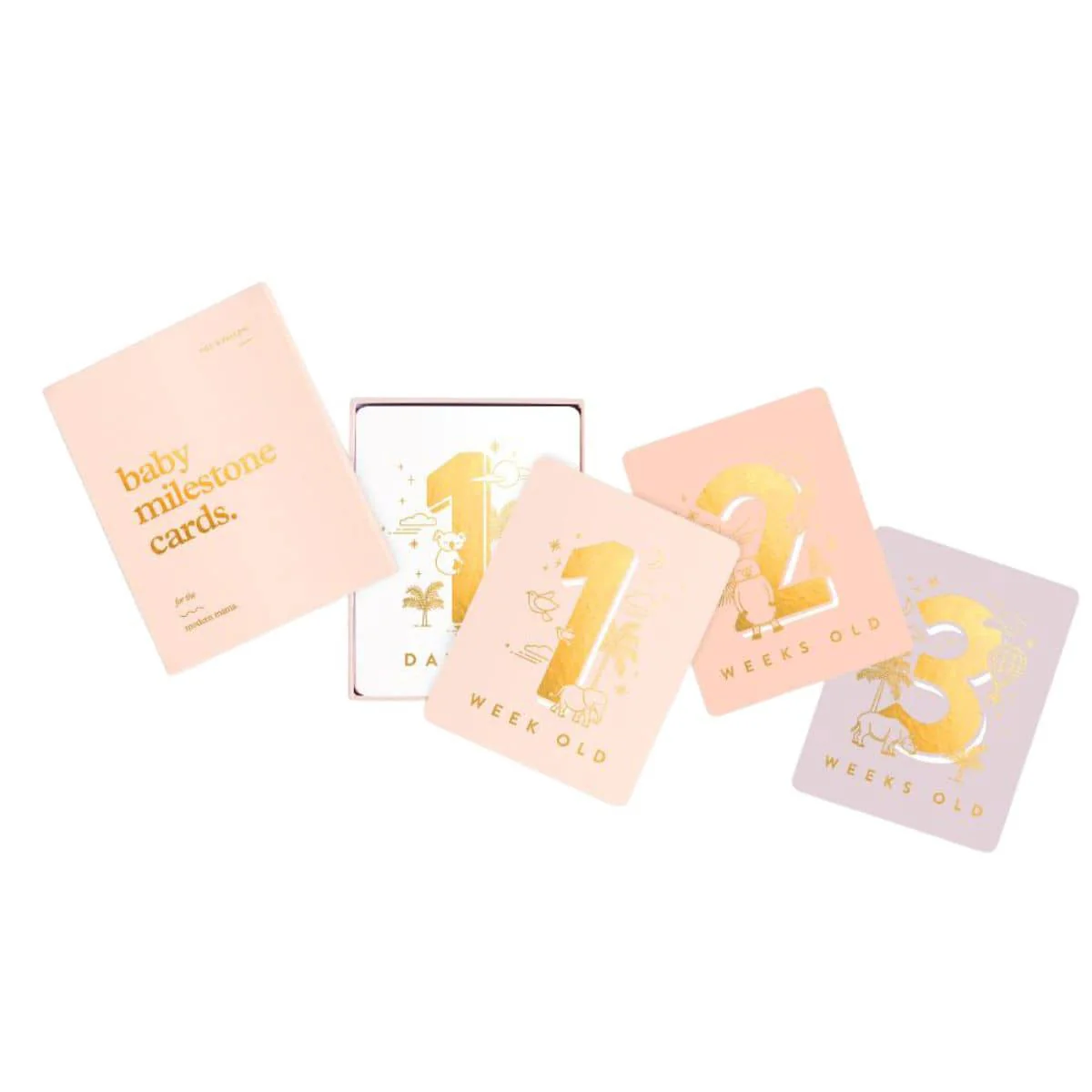 Fox & Fallow Baby Milestone Cards - Cream - Image 15