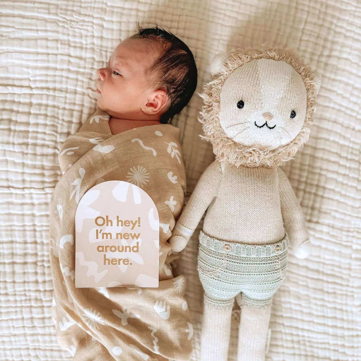 Fox & Fallow Baby Milestone Cards - Helios - Image 11