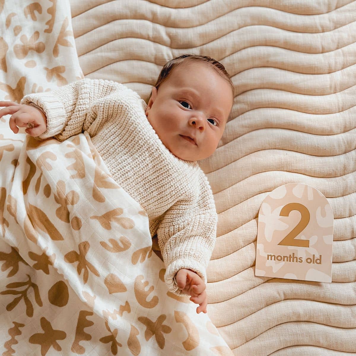 Fox & Fallow Baby Milestone Cards - Helios - Image 2