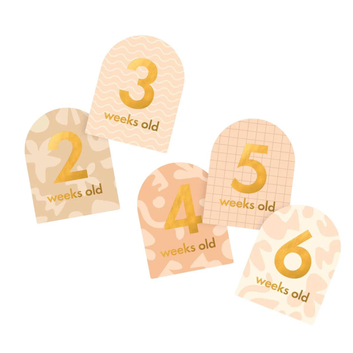Fox & Fallow Baby Milestone Cards - Helios - Image 7