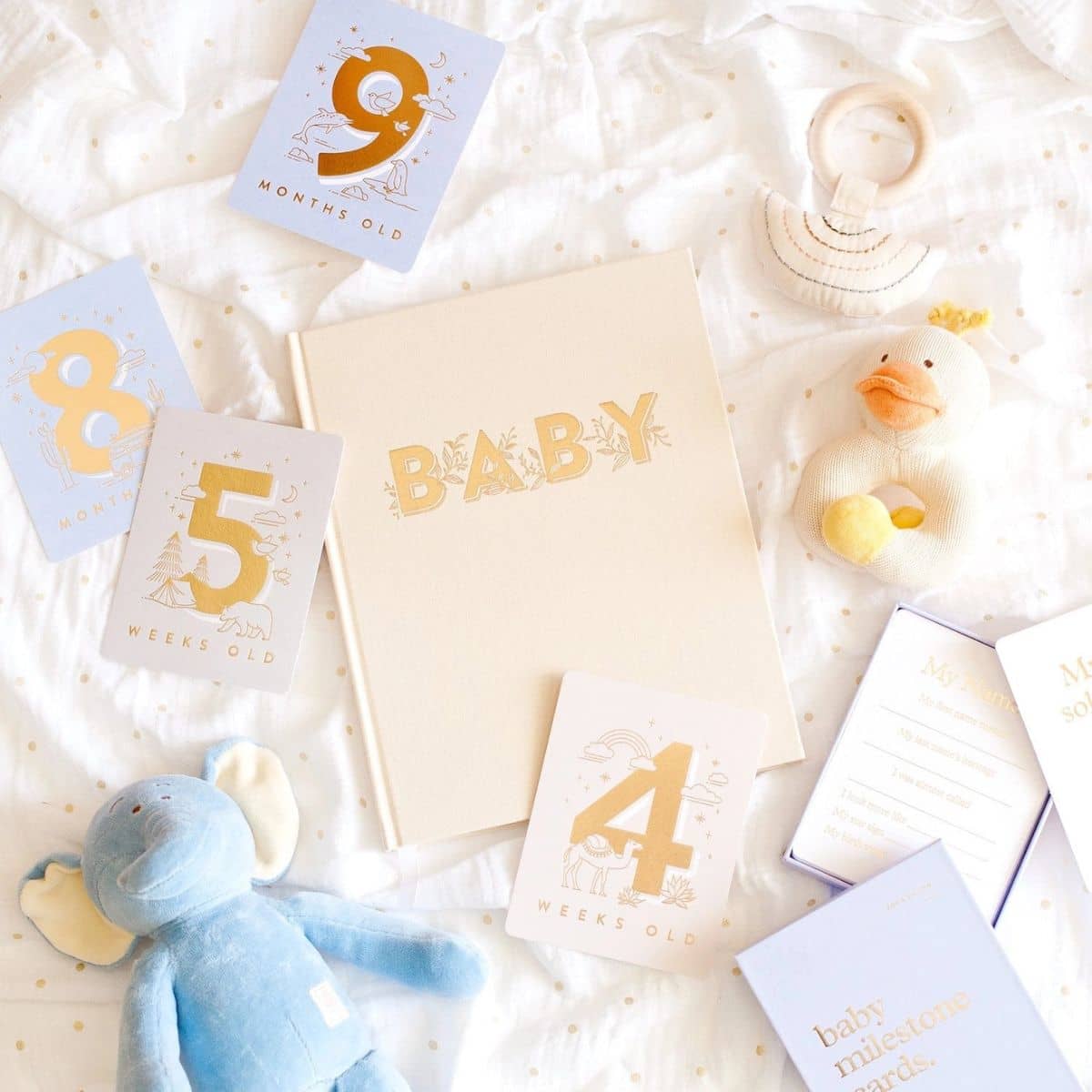 Fox & Fallow Baby Milestone Cards - Powder Blue - Image 2