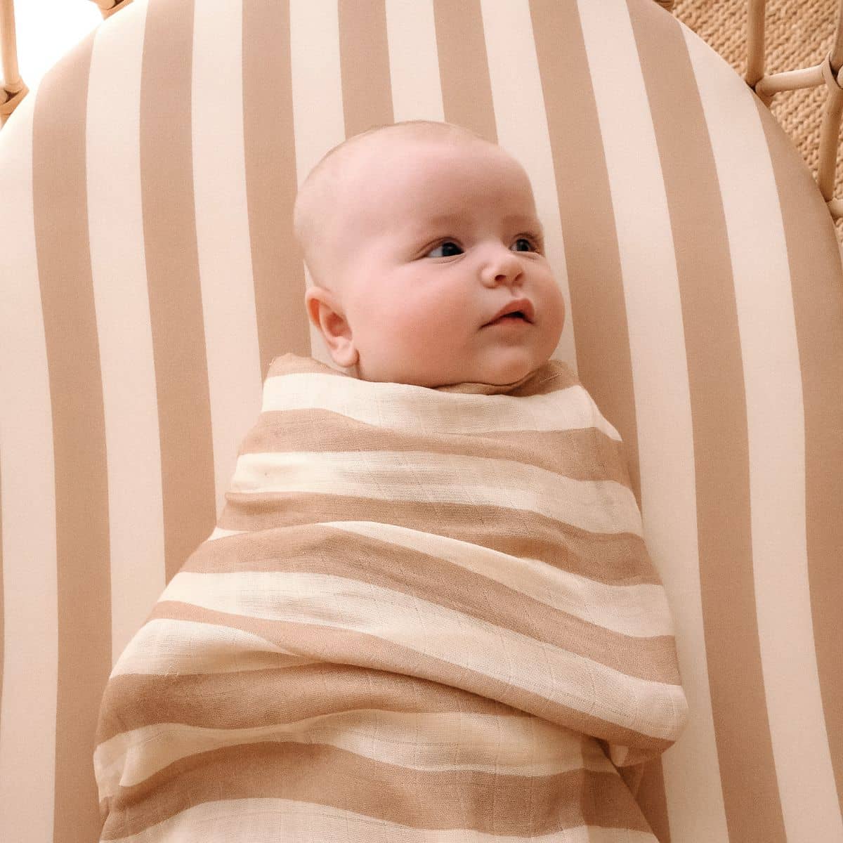 Fox & Fallow Organic Fitted Bassinet Sheet - Coffee Stripe - Image 2