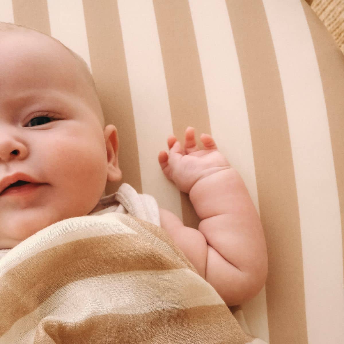Fox & Fallow Organic Fitted Bassinet Sheet - Coffee Stripe - Image 5