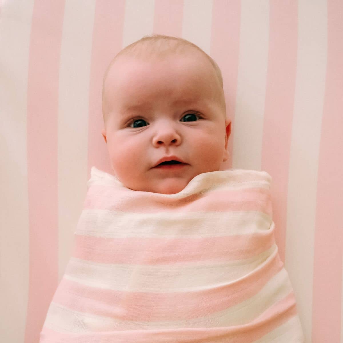 Fox & Fallow Organic Fitted Bassinet Sheet - Petal Stripe - Image 6