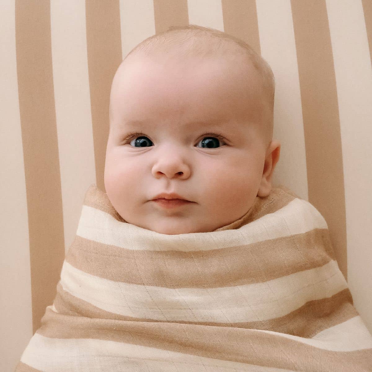 Fox & Fallow Organic Muslin Swaddle Wrap - Coffee Stripe - Image 2