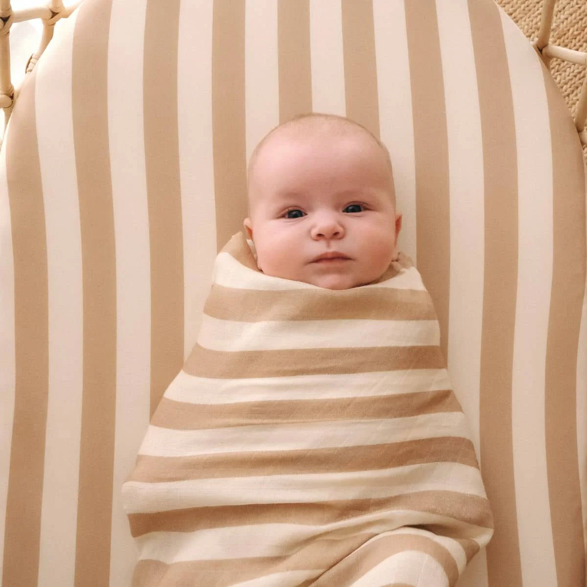 Fox & Fallow Organic Muslin Swaddle Wrap - Coffee Stripe - Image 5
