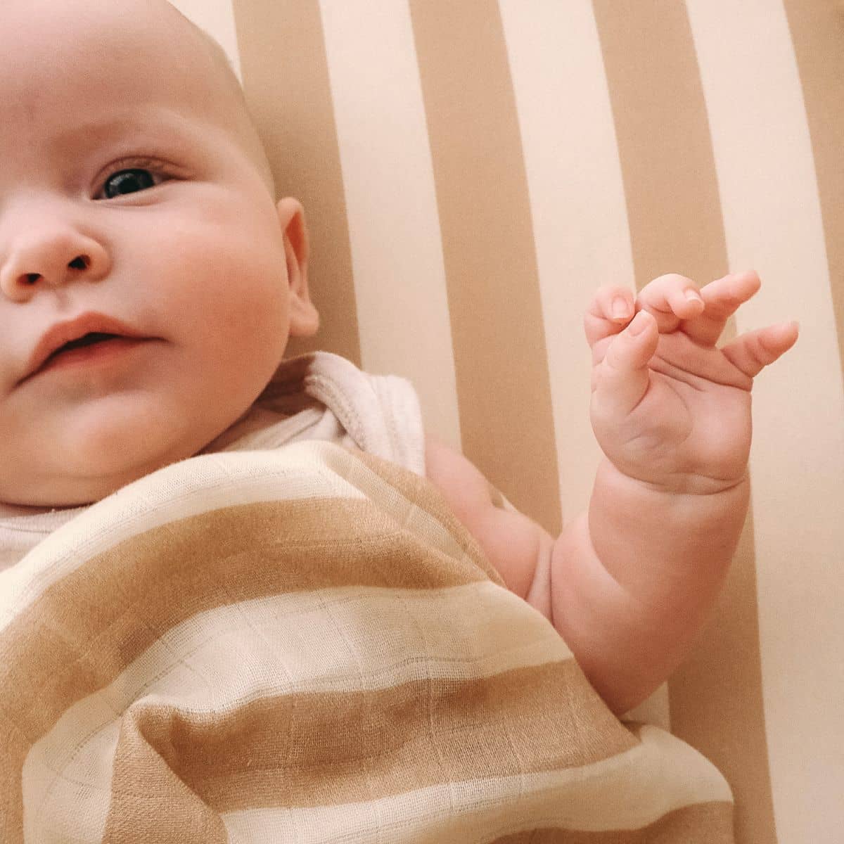 Fox & Fallow Organic Muslin Swaddle Wrap - Coffee Stripe - Image 6