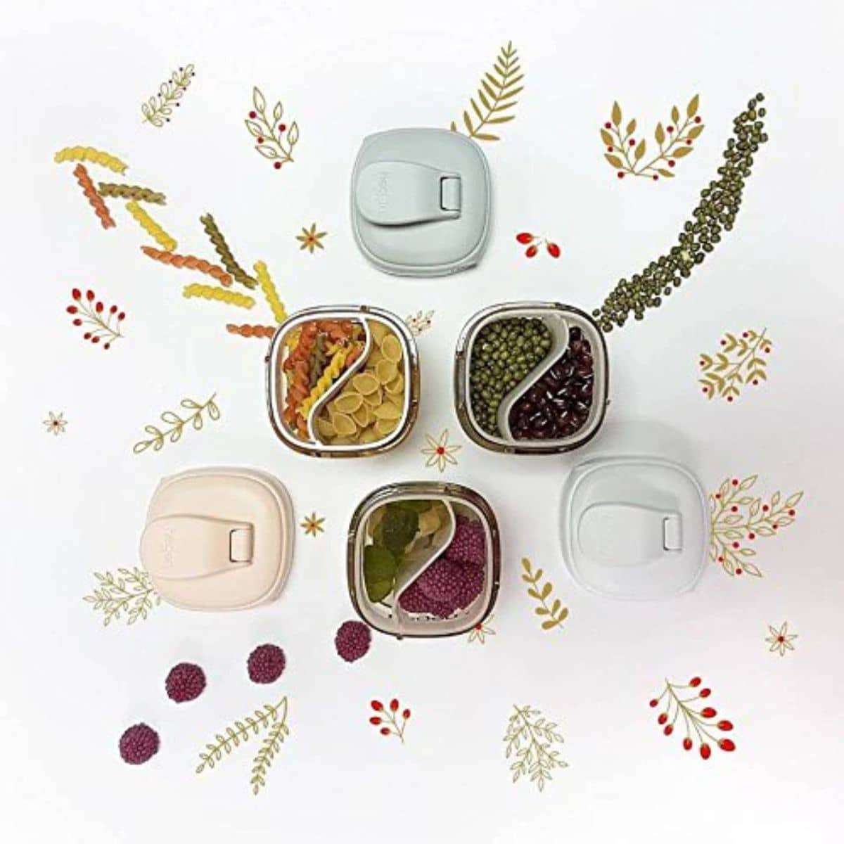 Hegen PCTO Food Storage Converter - Image 5