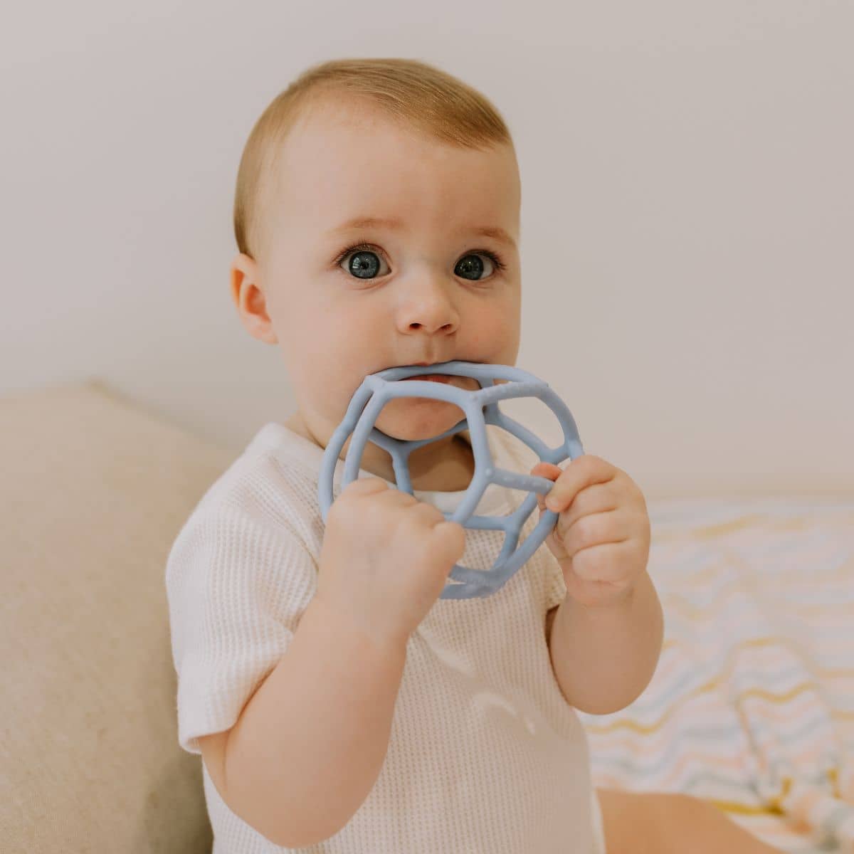 Jellystone Designs Sensory Ball - Image 3