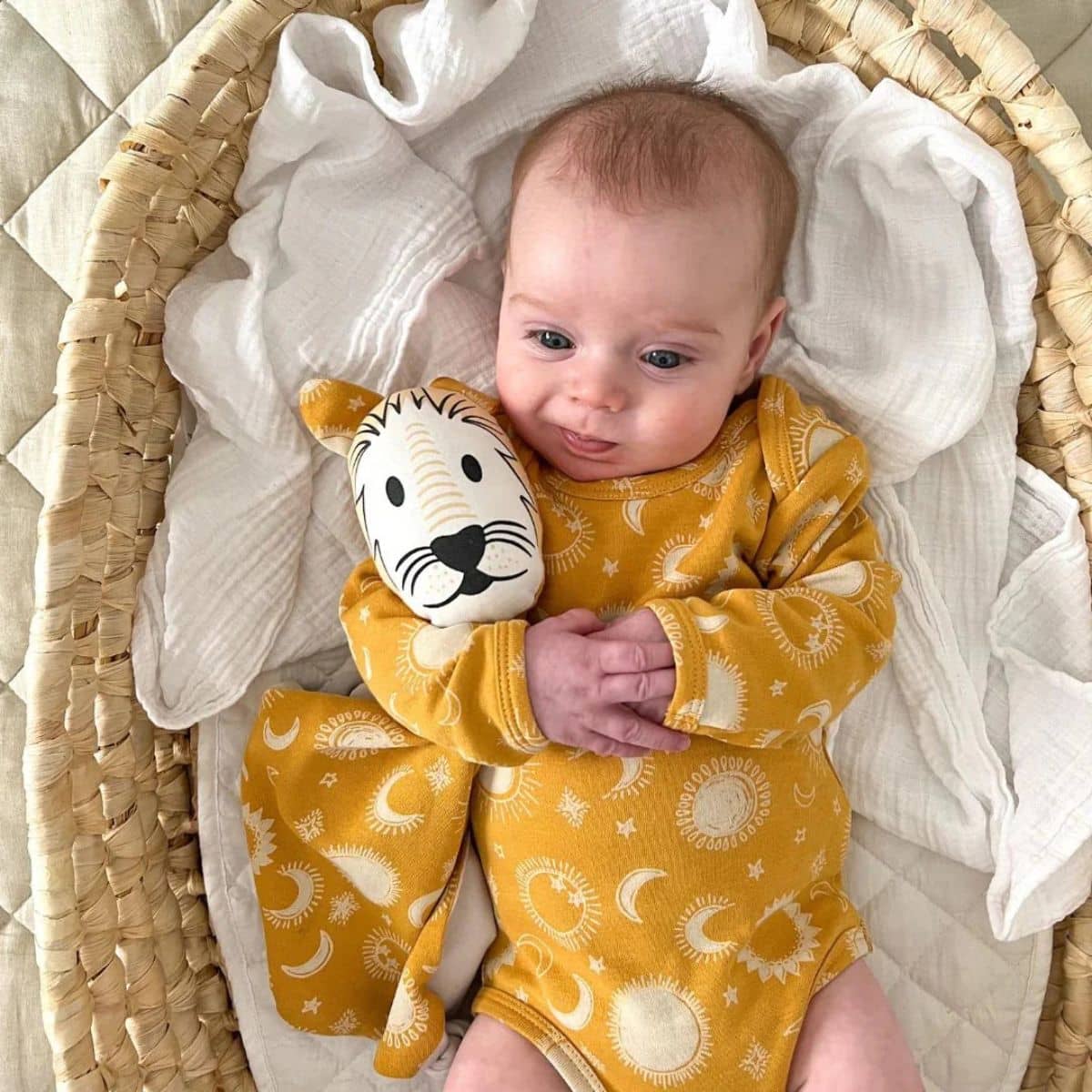 Kippins Organic Cotton Baby Comforter - Dash Kippin - Image 4
