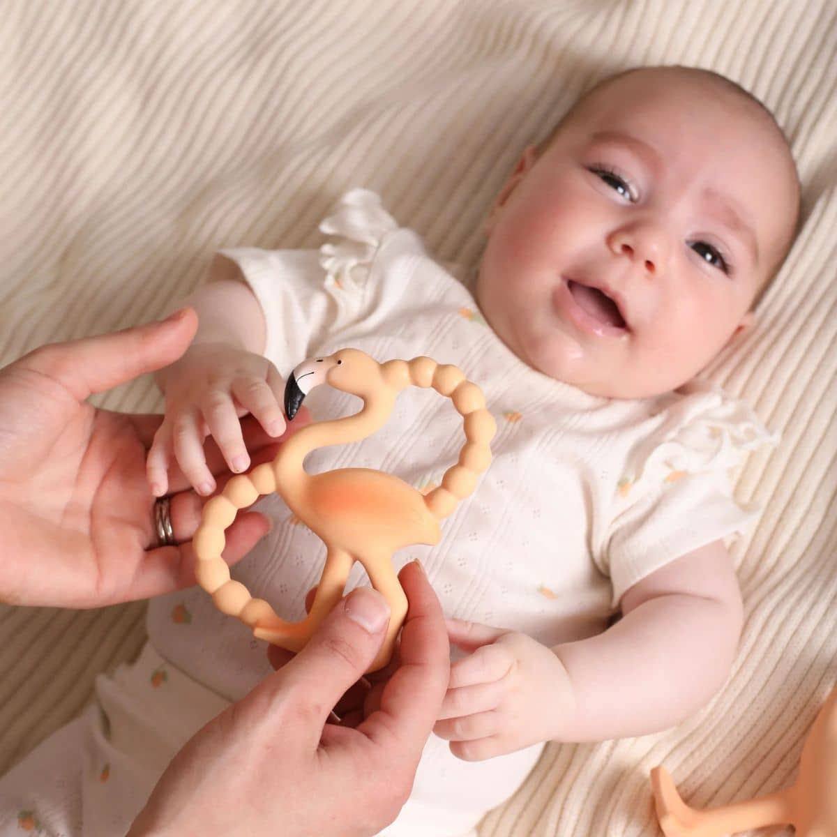 Lingo the Flamingo - Mini Teether - Image 8