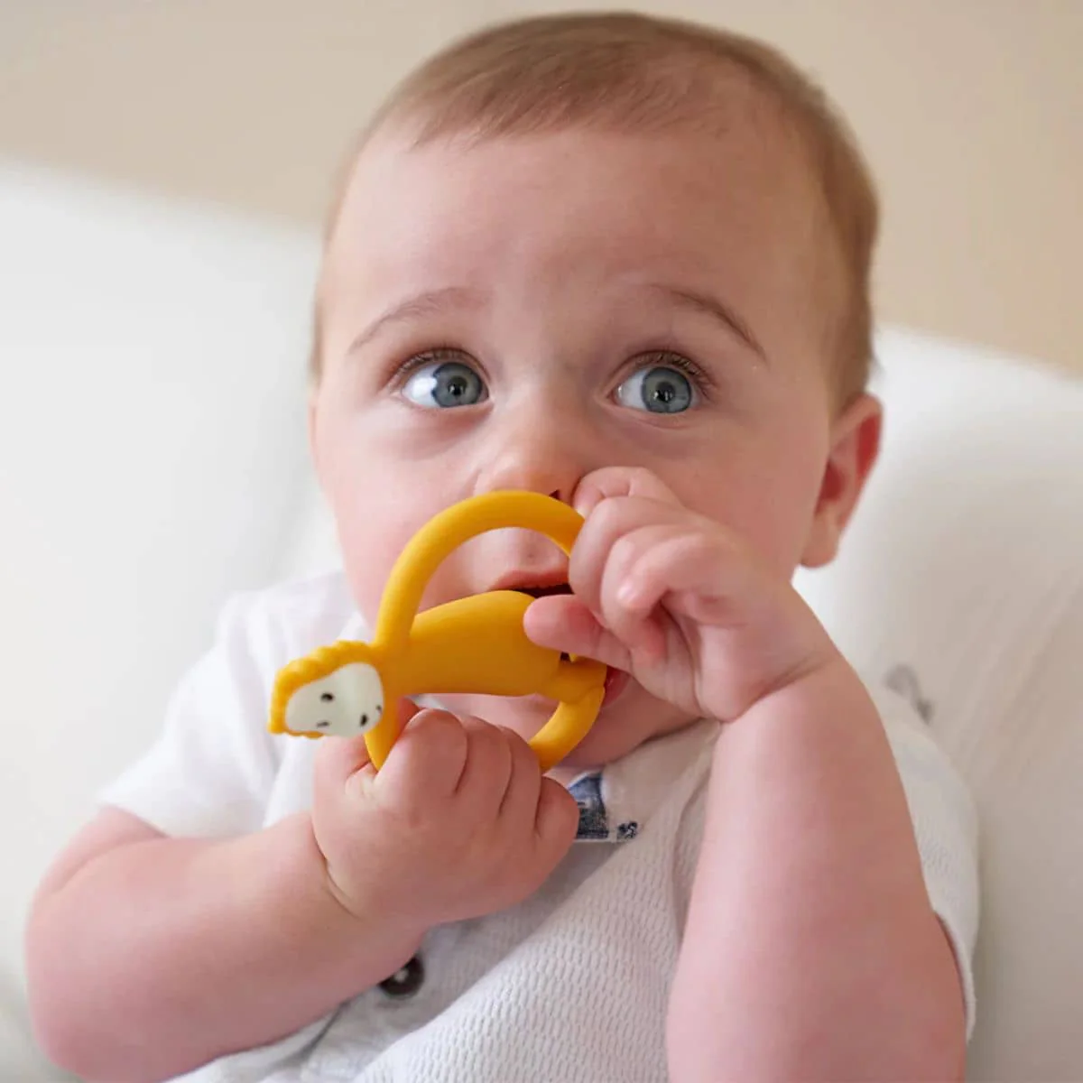 Matchstick Monkey Teething Toy and Gel Applicator - Lion - Image 4