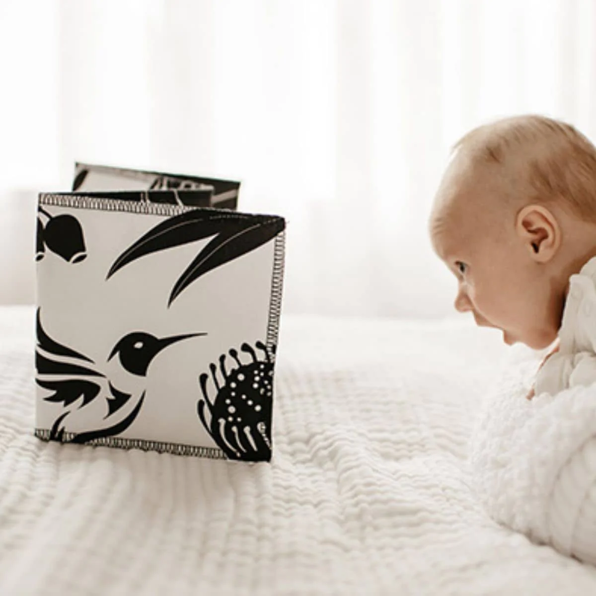 Mesmerised Wildbaby Organic Cloth Book - Image 4