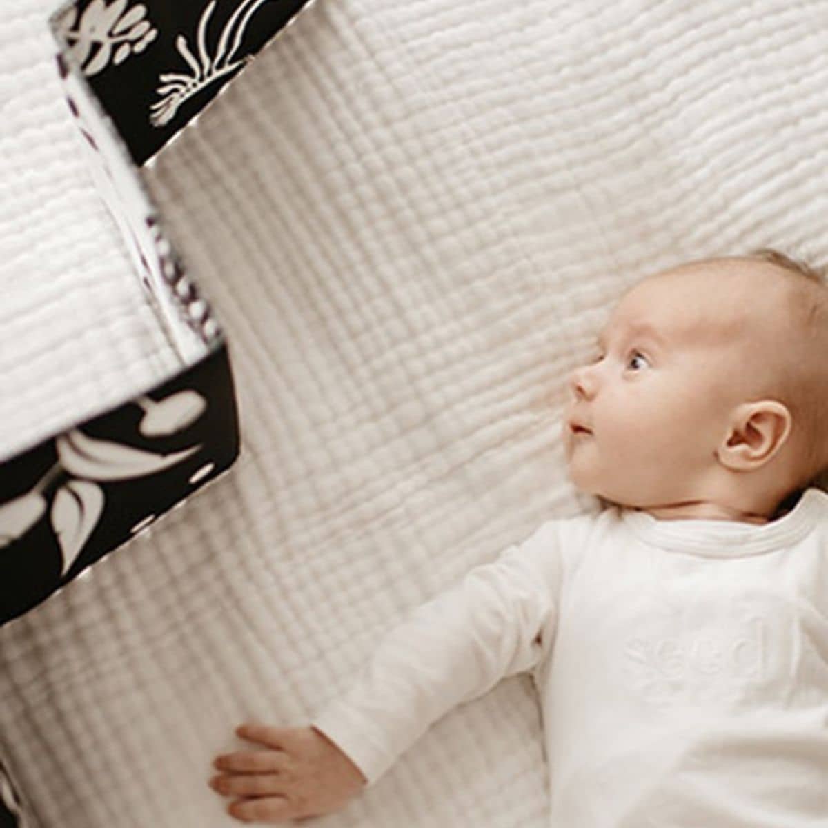 Mesmerised Wildbaby Organic Cloth Book - Image 7