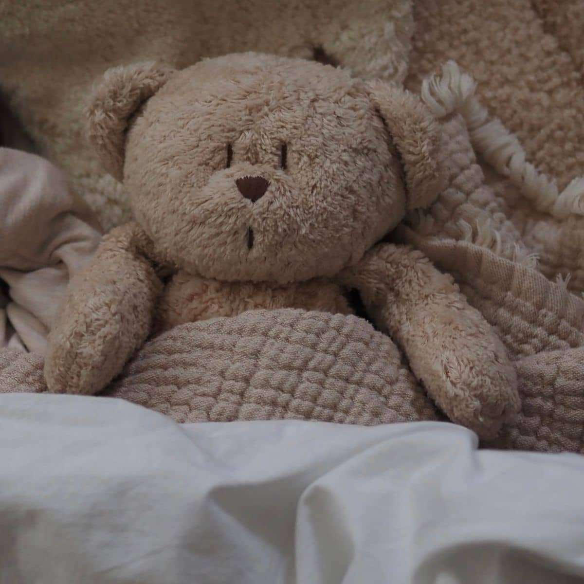 Moonie Organic Humming Bear - Cappuccino - Image 5