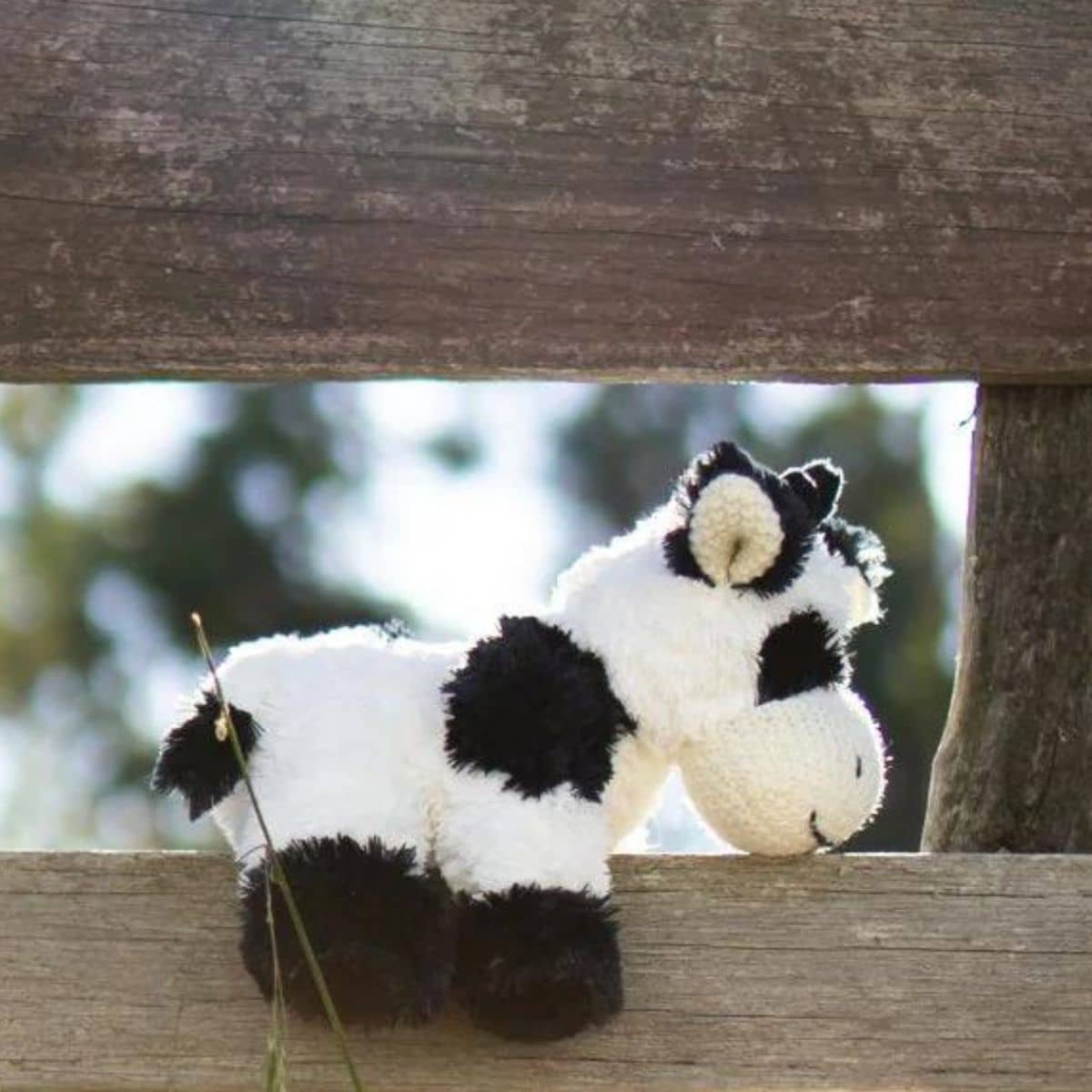 Nana Huchy Coco the Cow - Black - Image 2