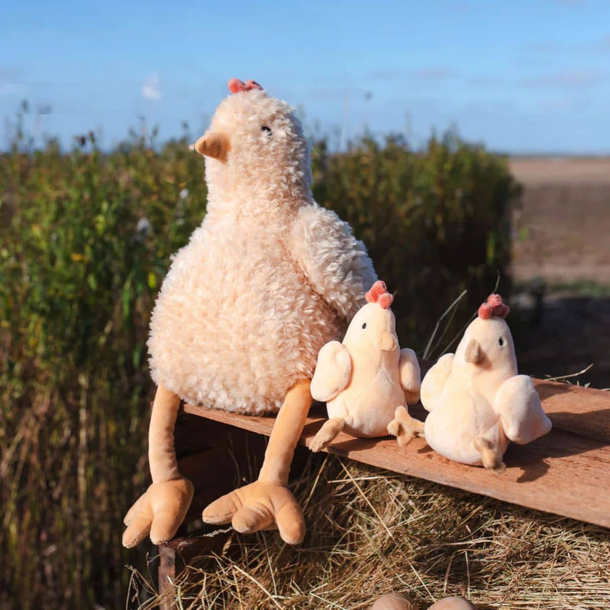 Nana Huchy Harriet the Hen - Honey - Image 5