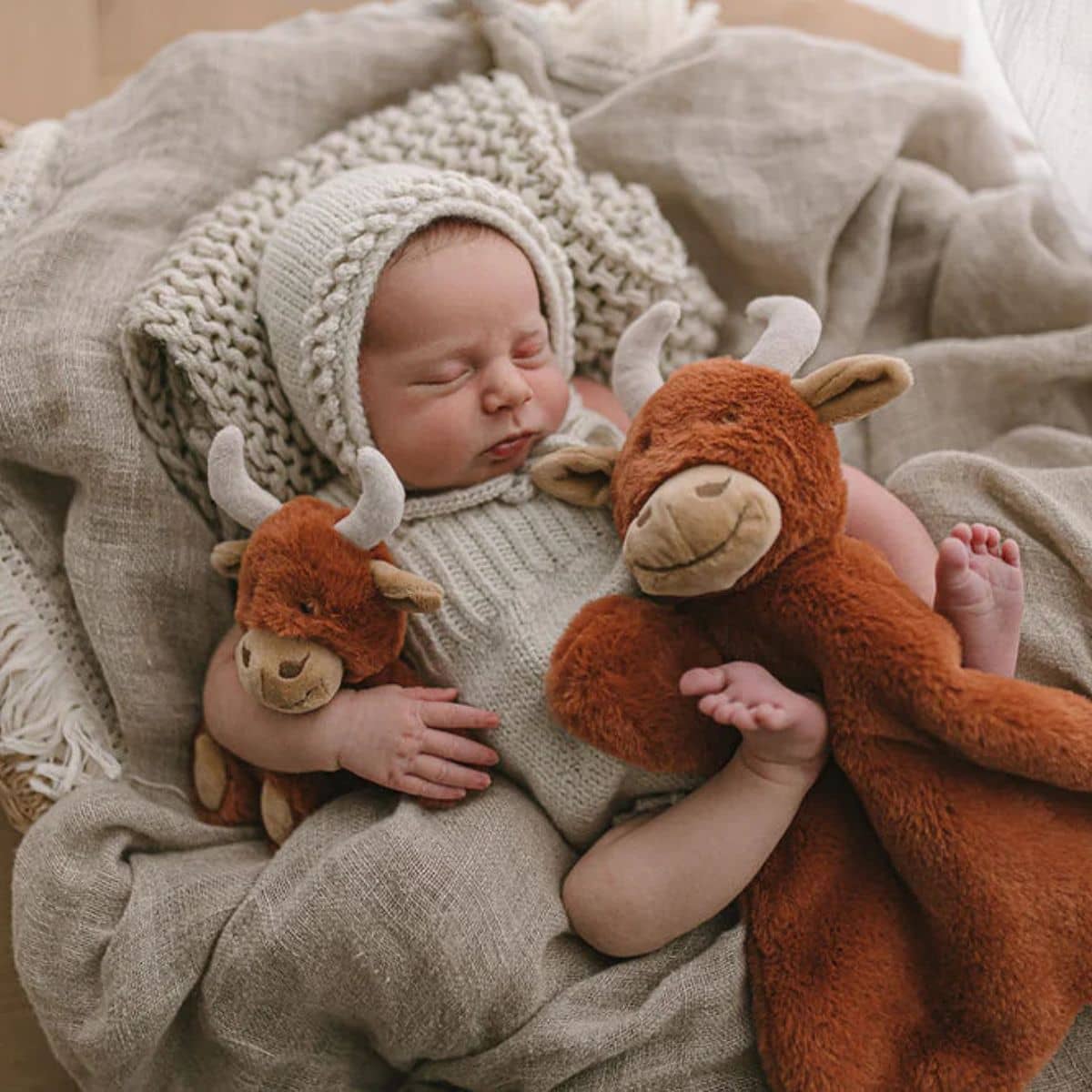 Nana Huchy Henry the Highland Cow Rattle - Image 4