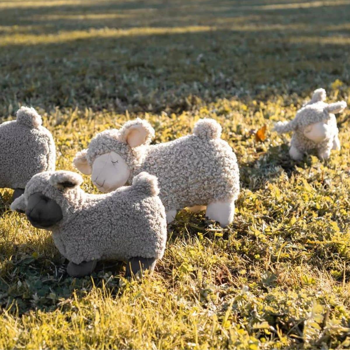 Nana Huchy Lucy the Lamb - Cream - Image 2