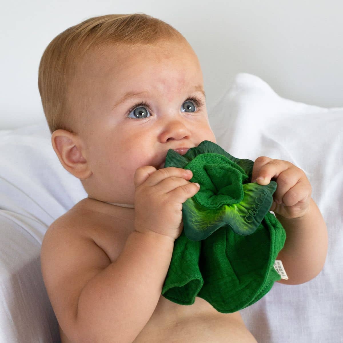 Oli & Carol Mini Doudou Teether - Kendall the Kale - Image 2
