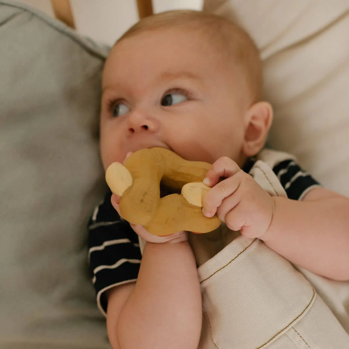 Oli & Carol Natural Rubber Teether - Nutty the Walnut - Image 4