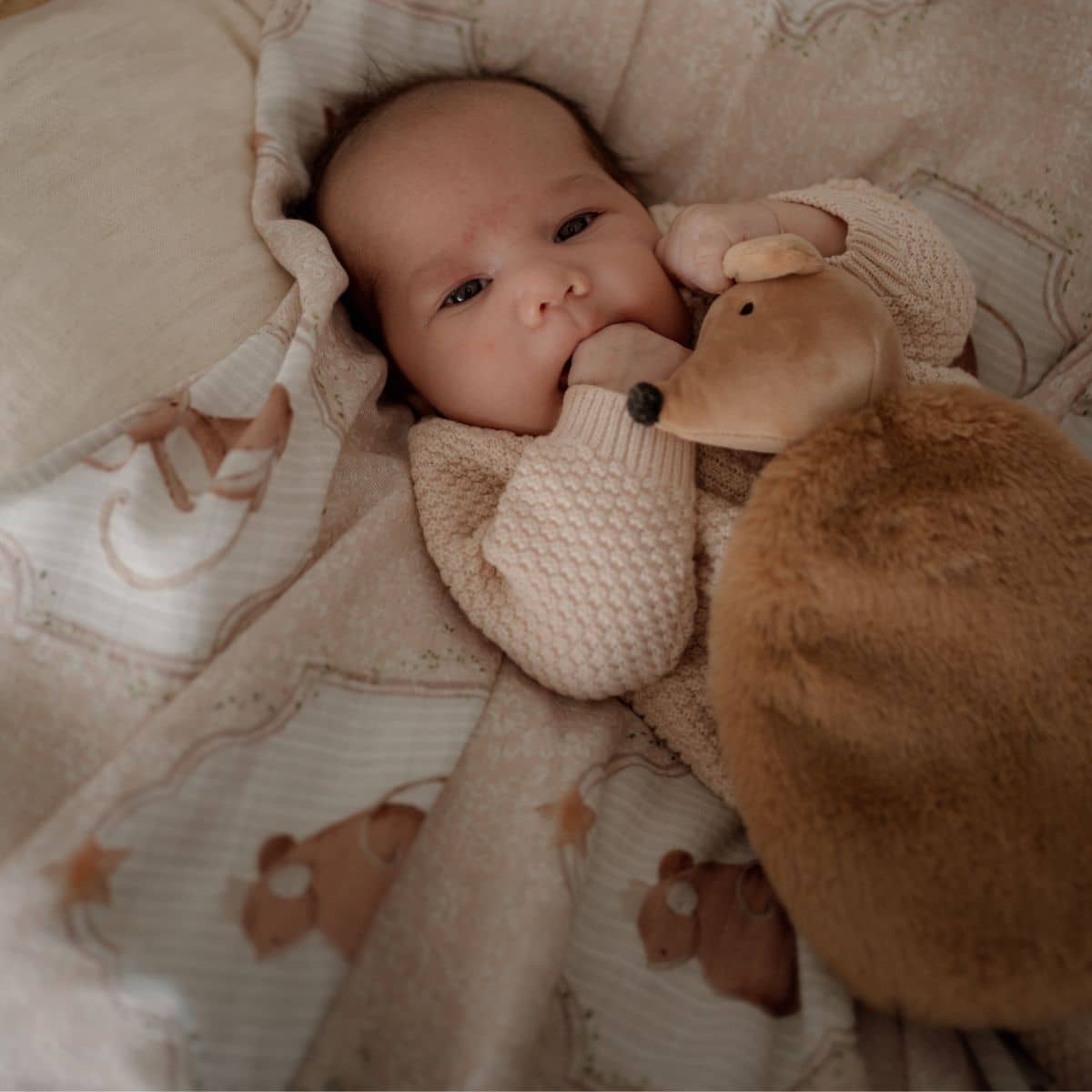 Pop Ya Tot Comforter Toy - Squeaky the Sweet - Image 10