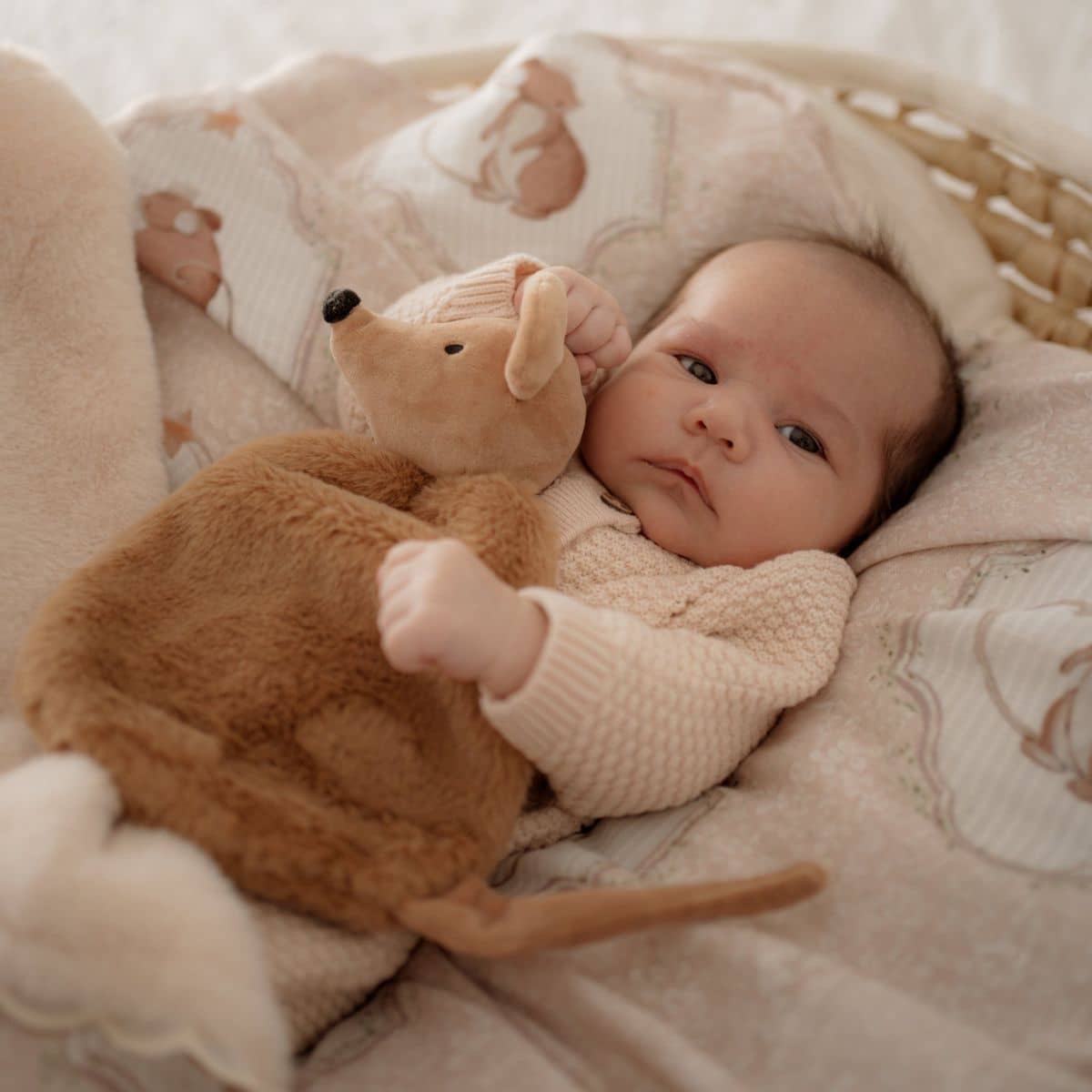 Pop Ya Tot Comforter Toy - Squeaky the Sweet - Image 2