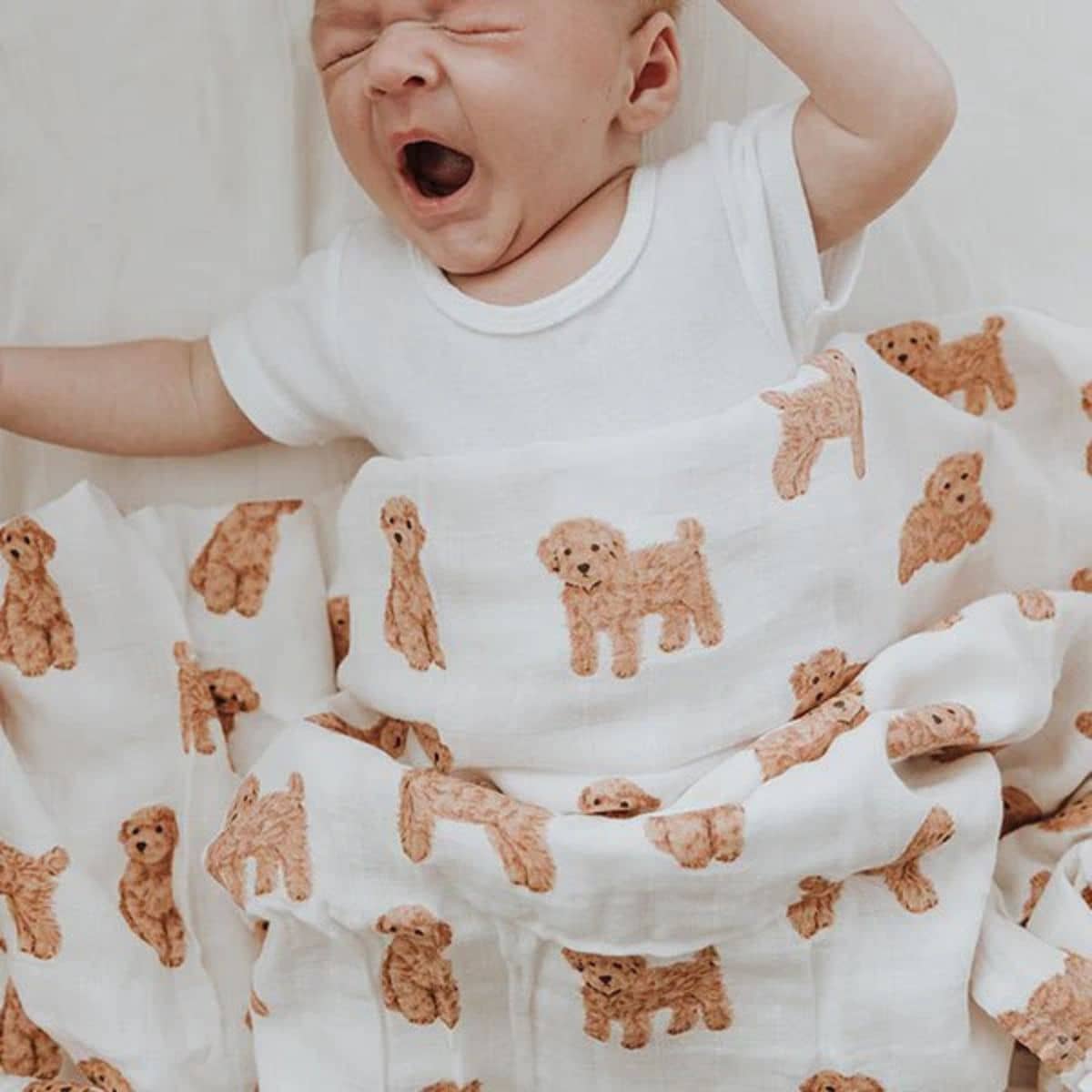 Smitten Bub Co Bamboo / Cotton Muslin Wrap - Cavoodle - Image 2