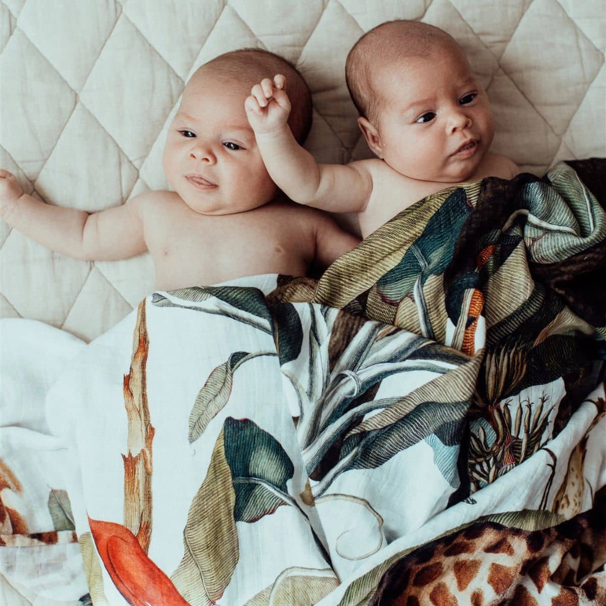 Snug as a Bub + Co Organic Cotton Muslin Swaddle - Wild One - Image 2