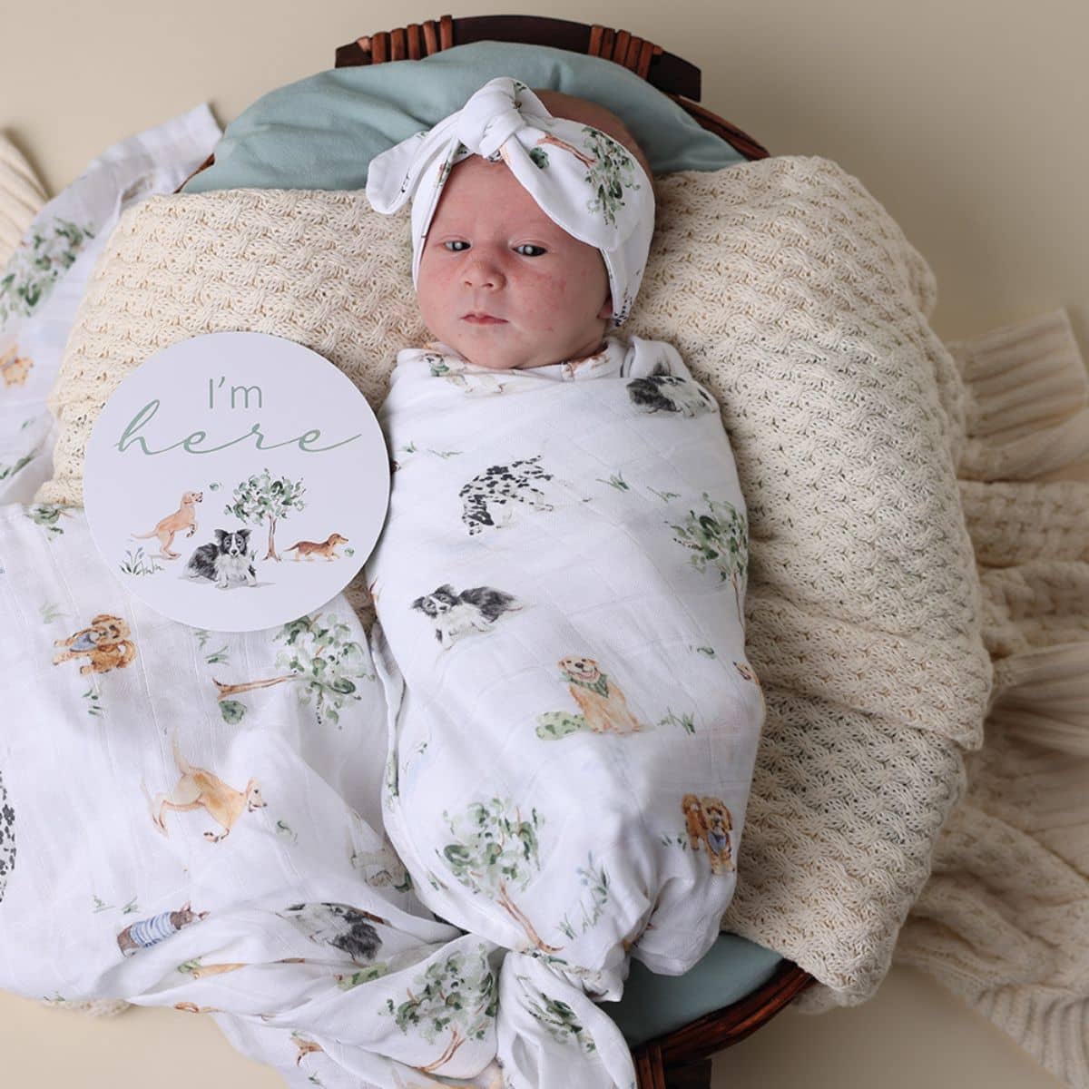 Snuggle Hunny Muslin Wrap - Dog Park - Image 2