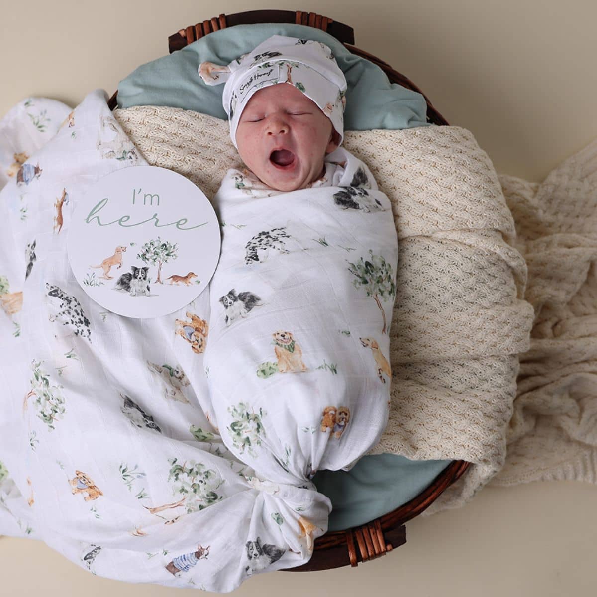 Snuggle Hunny Muslin Wrap - Dog Park - Image 4
