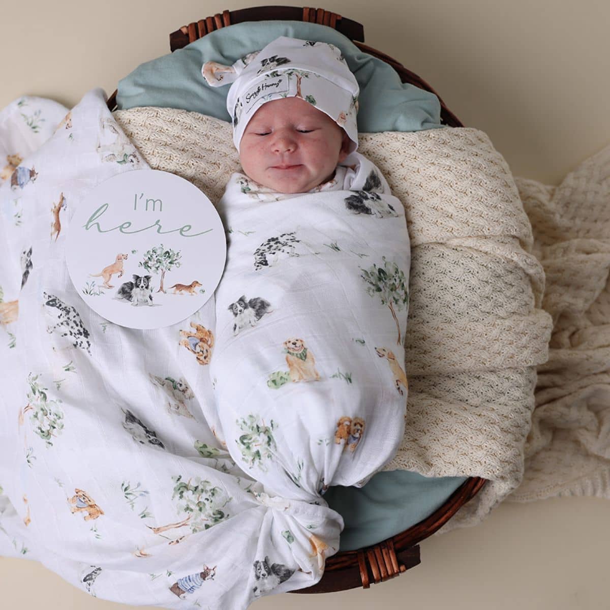 Snuggle Hunny Muslin Wrap - Dog Park - Image 5